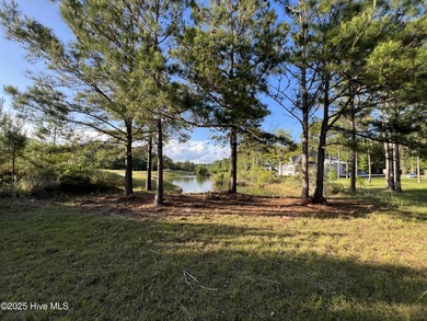 Location, location, location. The person that coined that phrase on Ocean Ridge Plantation in North Carolina - for sale on GolfHomes.com, golf home, golf lot