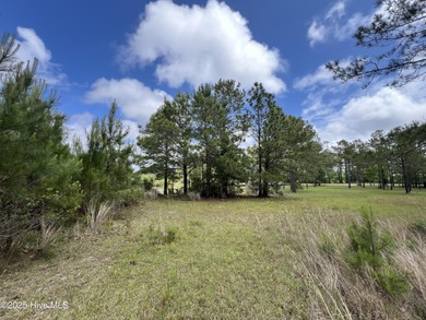 Location, location, location. The person that coined that phrase on Ocean Ridge Plantation in North Carolina - for sale on GolfHomes.com, golf home, golf lot