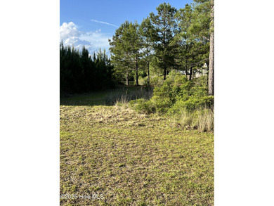 Location, location, location. The person that coined that phrase on Ocean Ridge Plantation in North Carolina - for sale on GolfHomes.com, golf home, golf lot