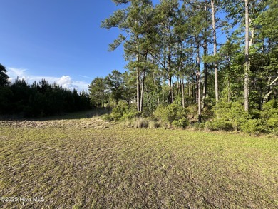 Location, location, location. The person that coined that phrase on Ocean Ridge Plantation in North Carolina - for sale on GolfHomes.com, golf home, golf lot