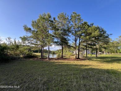 Location, location, location. The person that coined that phrase on Ocean Ridge Plantation in North Carolina - for sale on GolfHomes.com, golf home, golf lot