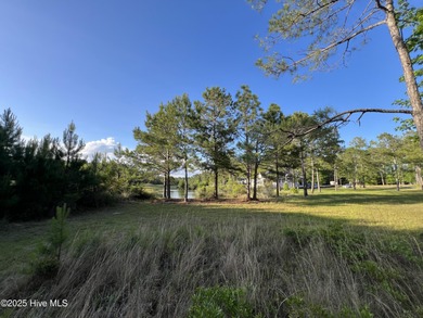 Location, location, location. The person that coined that phrase on Ocean Ridge Plantation in North Carolina - for sale on GolfHomes.com, golf home, golf lot