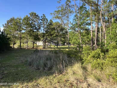 Location, location, location. The person that coined that phrase on Ocean Ridge Plantation in North Carolina - for sale on GolfHomes.com, golf home, golf lot