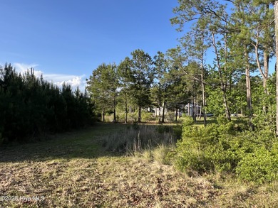 Location, location, location. The person that coined that phrase on Ocean Ridge Plantation in North Carolina - for sale on GolfHomes.com, golf home, golf lot