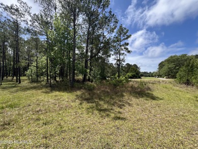 Location, location, location. The person that coined that phrase on Ocean Ridge Plantation in North Carolina - for sale on GolfHomes.com, golf home, golf lot