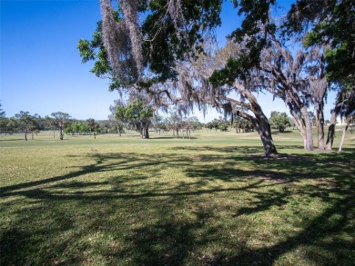 HIGH AND DRY!   This tastefully modernized, and FULLY FURNISHED on Tarpon Springs Golf Course in Florida - for sale on GolfHomes.com, golf home, golf lot