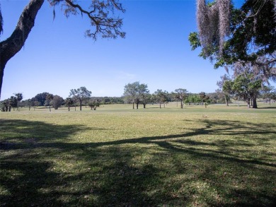 HIGH AND DRY!   This tastefully modernized, and FULLY FURNISHED on Tarpon Springs Golf Course in Florida - for sale on GolfHomes.com, golf home, golf lot