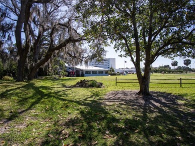 HIGH AND DRY!   This tastefully modernized, and FULLY FURNISHED on Tarpon Springs Golf Course in Florida - for sale on GolfHomes.com, golf home, golf lot