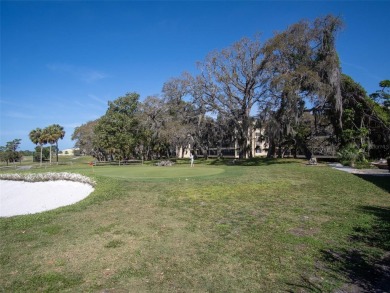 HIGH AND DRY!   This tastefully modernized, and FULLY FURNISHED on Tarpon Springs Golf Course in Florida - for sale on GolfHomes.com, golf home, golf lot