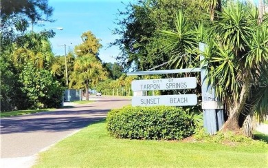 HIGH AND DRY!   This tastefully modernized, and FULLY FURNISHED on Tarpon Springs Golf Course in Florida - for sale on GolfHomes.com, golf home, golf lot