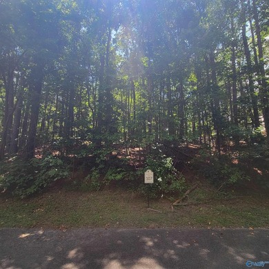 These beautiful adjacent lots are ready for your dream home! on Cherokee Ridge Country Club in Alabama - for sale on GolfHomes.com, golf home, golf lot