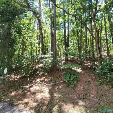 These beautiful adjacent lots are ready for your dream home! on Cherokee Ridge Country Club in Alabama - for sale on GolfHomes.com, golf home, golf lot