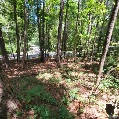 These beautiful adjacent lots are ready for your dream home! on Cherokee Ridge Country Club in Alabama - for sale on GolfHomes.com, golf home, golf lot