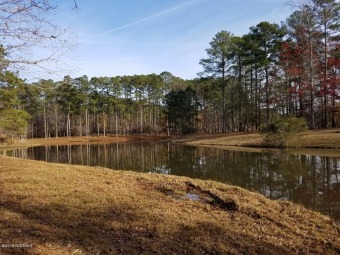 Beautiful wooded lot on lake in golfing and waterfront community on Cypress Landing Golf Club in North Carolina - for sale on GolfHomes.com, golf home, golf lot