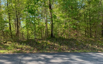BIG NORTH CAROLINA MOUNTAIN VIEWS!! This 4.02 acre lot offers for sale on GolfHomes.com