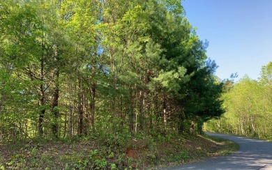 BIG NORTH CAROLINA MOUNTAIN VIEWS!! This 4.02 acre lot offers on Mountain Harbour Golf Club in North Carolina - for sale on GolfHomes.com, golf home, golf lot