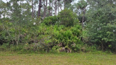 Welcome to this great community Indian Lakes Estates . 1 hour on Indian Lake Estates Golf and Country Club in Florida - for sale on GolfHomes.com, golf home, golf lot