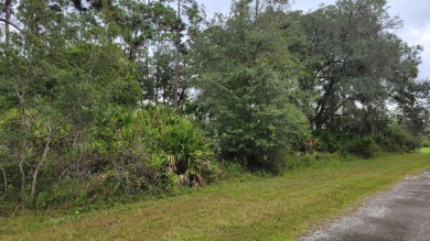 Welcome to this great community Indian Lakes Estates . 1 hour on Indian Lake Estates Golf and Country Club in Florida - for sale on GolfHomes.com, golf home, golf lot