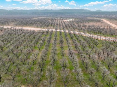 This breathtaking 2.666-acre ranch lot is the perfect canvas for on Pecan Plantation Country Club in Texas - for sale on GolfHomes.com, golf home, golf lot