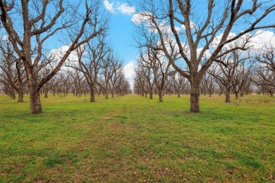 This breathtaking 2.666-acre ranch lot is the perfect canvas for on Pecan Plantation Country Club in Texas - for sale on GolfHomes.com, golf home, golf lot