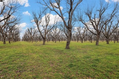 This breathtaking 2.666-acre ranch lot is the perfect canvas for on Pecan Plantation Country Club in Texas - for sale on GolfHomes.com, golf home, golf lot