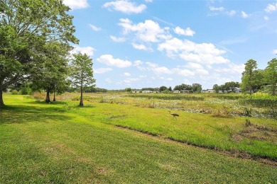 Turnkey Furnished Beauty with Peaceful Pond Views in a Premier on Plantation Golf Club in Florida - for sale on GolfHomes.com, golf home, golf lot