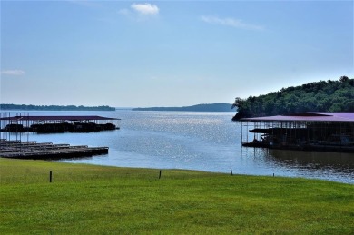 Palisades II is located on the marina side, just a short walk on Rock Creek Golf Club in Texas - for sale on GolfHomes.com, golf home, golf lot