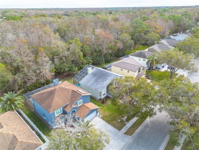 Nestled in the serene community of Brookers Landing, this on East Lake Woodlands Country Club in Florida - for sale on GolfHomes.com, golf home, golf lot