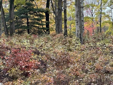 Great, mature subdivision just outside of Farwell, only minutes on Eagle Glen Golf Course in Michigan - for sale on GolfHomes.com, golf home, golf lot