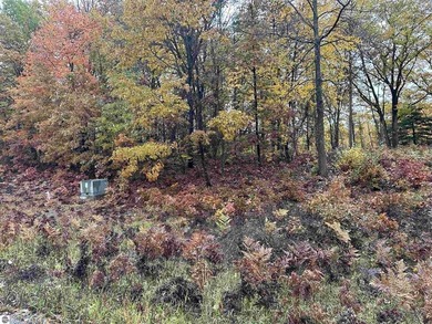 Great, mature subdivision just outside of Farwell, only minutes on Eagle Glen Golf Course in Michigan - for sale on GolfHomes.com, golf home, golf lot