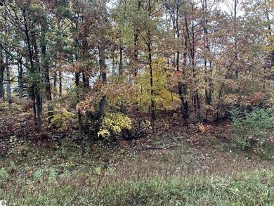 Great, mature subdivision just outside of Farwell, only minutes on Eagle Glen Golf Course in Michigan - for sale on GolfHomes.com, golf home, golf lot