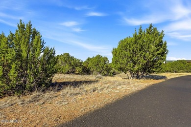 Prime Waterfront Opportunity - Nestled directly on the serene on Silver Creek Golf Club in Arizona - for sale on GolfHomes.com, golf home, golf lot