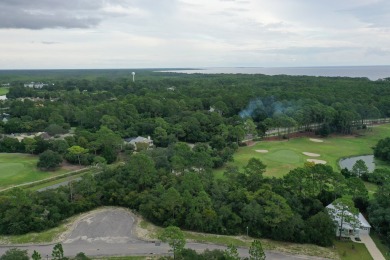 Great price on a building lot in St. James Bay Golf & Pickleball on St. James Bay in Florida - for sale on GolfHomes.com, golf home, golf lot