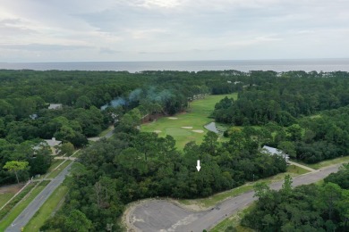 Great price on a building lot in St. James Bay Golf & Pickleball on St. James Bay in Florida - for sale on GolfHomes.com, golf home, golf lot