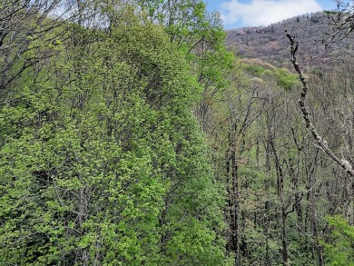 Gorgeous Mountain Views! BUILD YOUR MOUNTAIN DREAM HOME in the on Maggie Valley Resort and Country Club in North Carolina - for sale on GolfHomes.com, golf home, golf lot