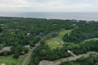 Great price on a building lot in St. James Bay Golf & Pickleball on St. James Bay in Florida - for sale on GolfHomes.com, golf home, golf lot