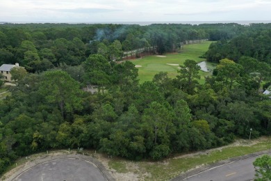 Great price on a building lot in St. James Bay Golf & Pickleball on St. James Bay in Florida - for sale on GolfHomes.com, golf home, golf lot