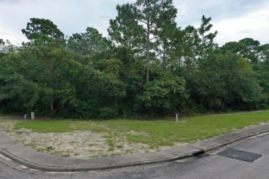 Great price on a building lot in St. James Bay Golf & Pickleball on St. James Bay in Florida - for sale on GolfHomes.com, golf home, golf lot