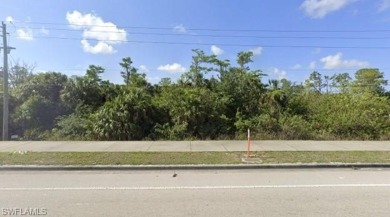 1.22 acres facing and on Immokalee Rd. This lot is zoned for on The Club At Twin Eagles in Florida - for sale on GolfHomes.com, golf home, golf lot