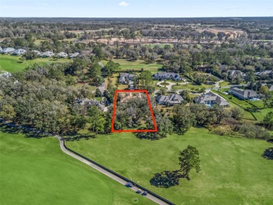 One-of-a-kind setting: gorgeous & renovated 4 bedroom & 4 1/2 on Golden Ocala Golf and Equestrian Club in Florida - for sale on GolfHomes.com, golf home, golf lot