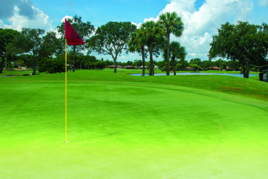 Beautiful golf course and water view Washington model. Quietly on Indian River Colony Club in Florida - for sale on GolfHomes.com, golf home, golf lot