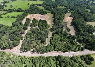 Are you ready to build your dream home with the best of both on Echo Creek Country Club in Texas - for sale on GolfHomes.com, golf home, golf lot