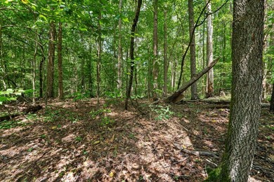 Build Your Dream Home! This gently sloping lot, surrounded by on The Trail At Chickasaw Pointe in South Carolina - for sale on GolfHomes.com, golf home, golf lot