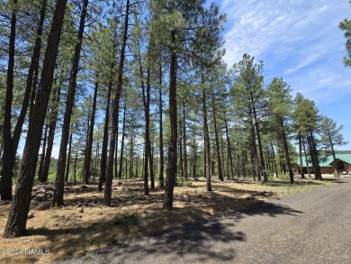 Sunsets and star views for days!!!Take advantage of this rare on Pinewood Country Club in Arizona - for sale on GolfHomes.com, golf home, golf lot