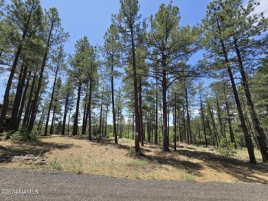 Sunsets and star views for days!!!Take advantage of this rare on Pinewood Country Club in Arizona - for sale on GolfHomes.com, golf home, golf lot