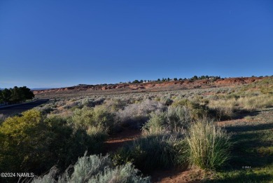 Opportunity in the Heart of the Grand Circle Recreation Areas on Lake Powell National Golf Course in Arizona - for sale on GolfHomes.com, golf home, golf lot