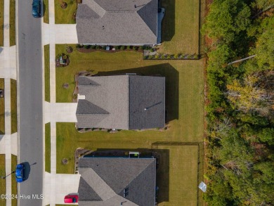 Nestled in the highly sought-after Brunswick Forest community on Cape Fear National At Brunswick Forest in North Carolina - for sale on GolfHomes.com, golf home, golf lot