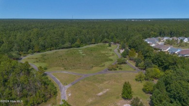 Nestled in the highly sought-after Brunswick Forest community on Cape Fear National At Brunswick Forest in North Carolina - for sale on GolfHomes.com, golf home, golf lot