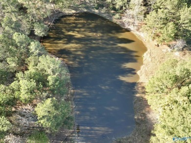 5+/- Acres Close to Golf course, Tons of Road Frontage on Two on Boaz Golf Club in Alabama - for sale on GolfHomes.com, golf home, golf lot