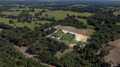 Are you ready to build your dream home with the best of both on Echo Creek Country Club in Texas - for sale on GolfHomes.com, golf home, golf lot